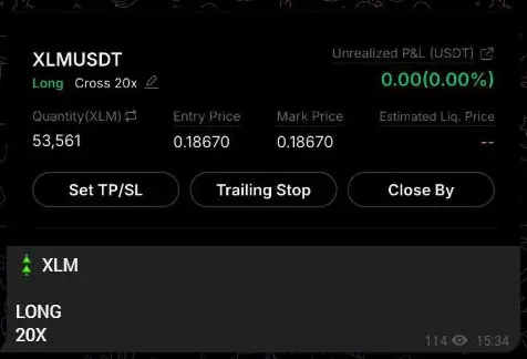 Исходная позиция XLM с плечом 20x и видимой ценой входа