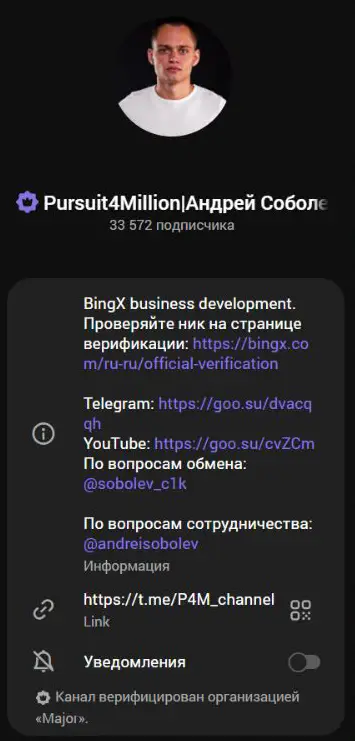 Описание Pursuit4Million и контакт Андрея Соболева для сотрудничества