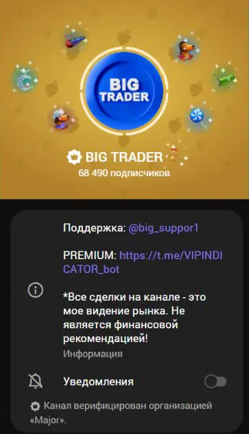 Описание BIG TRADER с контактом поддержки, PREMIUM-ботом и дисклеймером