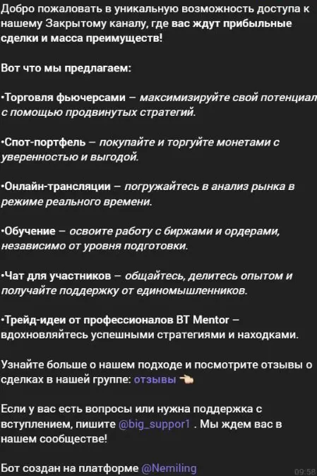 Приветственное сообщение BIG TRADER CLUB с обещанием прибыльных сделок и перечнем услуг