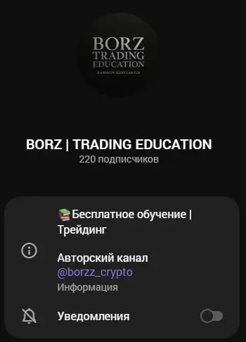 Связанный бесплатный учебный канал BORZ TRADING EDUCATION